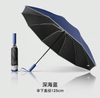 Parapluie extérieur portatif de parapluies de pluie promotionnels faits sur commande de haute qualité pour la pluie