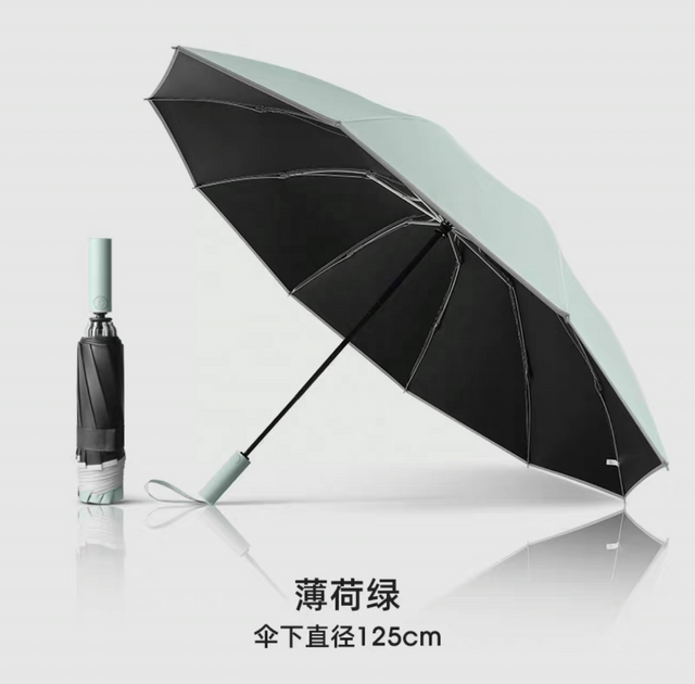 Parapluie extérieur portatif de parapluies de pluie promotionnels faits sur commande de haute qualité pour la pluie